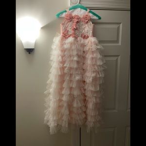 Dollcake tulle ruffle dress